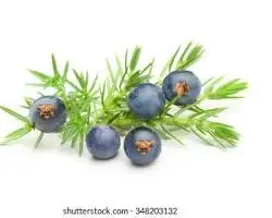 RegenVive ingredient Juniper Berries